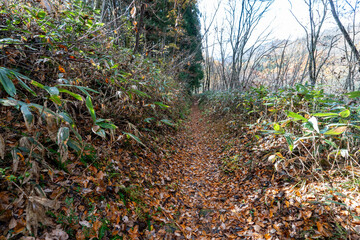 Historic old road &ldquo;Salt Road&rdquo; which is also a long distance hiking course and its surroundings