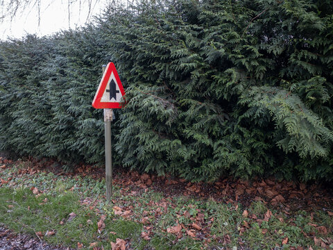 road sign and bush