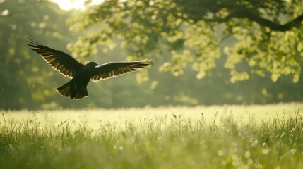 A bird gliding over green fields with wings spread wide.