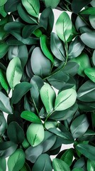Fototapeta premium Top view, green hedge for landscaping isolate 