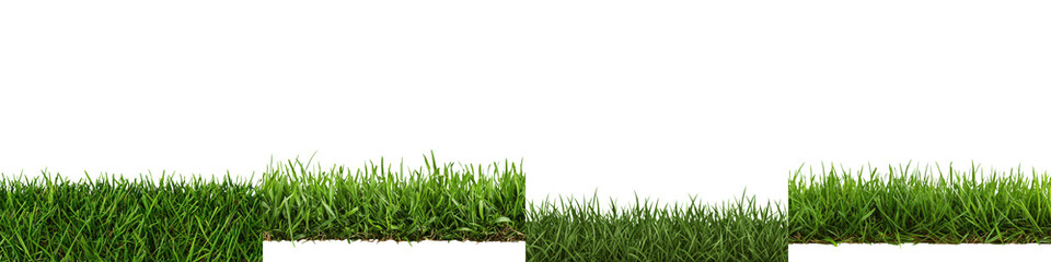 Fototapeta premium Vibrant lush green grass carpet covering the ground in a scenic serene natural landscape Peaceful outdoor environment with fresh organic foliage and vegetation