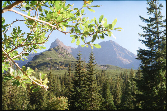 Mountain landscape in spring
