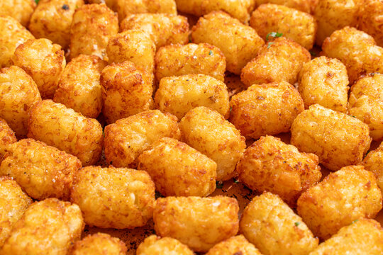 Tater Tots Closeup