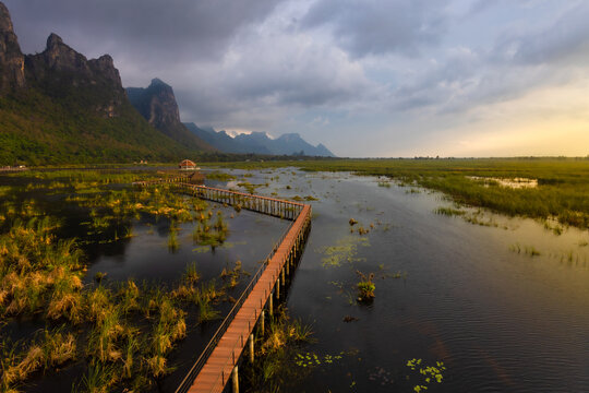 Lotus pond in Thung Sam Roi Yot is part of Khao Sam Roi Yot National Park and is a wetland area with a wide, naturally occurring lowland with water all year round. It is located in Pran Buri District,