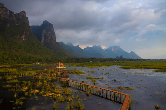 Lotus pond in Thung Sam Roi Yot is part of Khao Sam Roi Yot National Park and is a wetland area with a wide, naturally occurring lowland with water all year round. It is located in Pran Buri District,