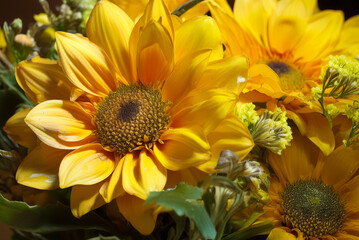 Naklejka premium yellow sunflower petals