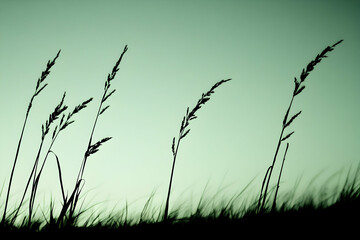 Serene silhouette of tall grass against a tranquil, muted green sky; evocative of peace, nature, and simplicity.