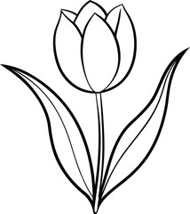 Obraz premium Tulip Line Art Floral Outline Drawing Design