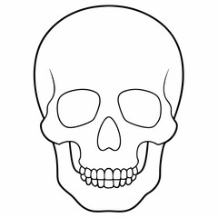 Continuous one line drawing of human skull vector
Line Art Illustration
