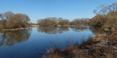 Spring walk through the forest, beautiful panorama.
