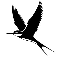 Black and white vector silhouette of a bird on white background
