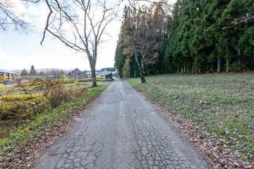 Historic old road &ldquo;Salt Road&rdquo; which is also a long distance hiking course and its surroundings
