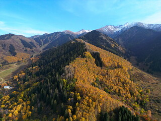 A mountainous area with various trees and fir trees. Akbulak Gorge. Autumn. Yellow leaves.