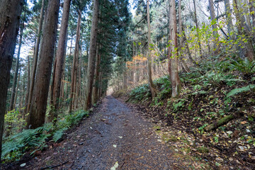 Historic old road “Salt Road” which is also a long distance hiking course and its surroundings