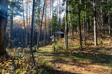 Historic old road “Salt Road” which is also a long distance hiking course and its surroundings