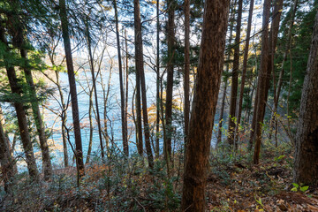 Obraz premium Historic old road “Salt Road” which is also a long distance hiking course and its surroundings