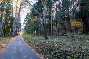 Historic old road “Salt Road” which is also a long distance hiking course and its surroundings