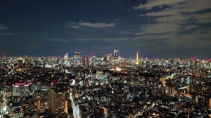 Fototapeta premium 展望台から見た、都心の夜景