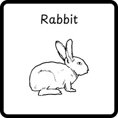 Animals Coloring E Book for Kids - rabbit (3)
