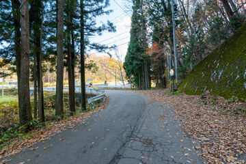 Historic old road “Salt Road” which is also a long distance hiking course and its surroundings