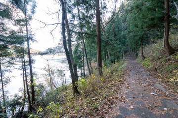 Obraz premium Historic old road “Salt Road” which is also a long distance hiking course and its surroundings