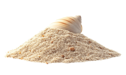 A Sea shell in sand pile isolated on white, side view Transparent PNG,

