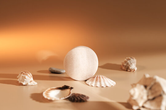 Shells on a beige background