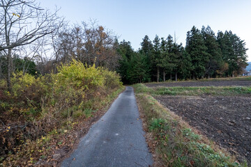 Historic old road “Salt Road” which is also a long distance hiking course and its surroundings