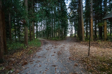 Historic old road “Salt Road” which is also a long distance hiking course and its surroundings