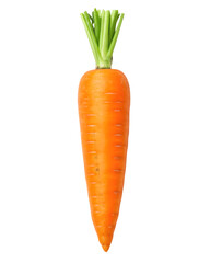 Single fresh orange carrot isolated on black background