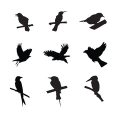 birds silhouette vector set