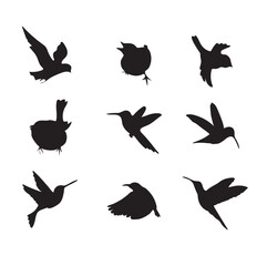 birds silhouette vector set