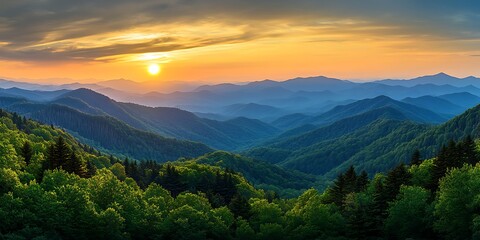 Breathtaking Sunrise Over Misty Mountain Forest Landscape