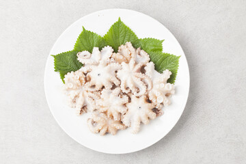  The cuttlefish is a mollusc of the octopus family. It is similar to an octopus, but its body is...