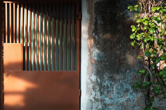 City Wall Texture