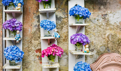 Colorful Hydrangeas on Shelves Against Weathered Stone Wall