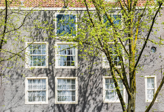 Dutch Brick Building with Windows and Spring Greenery