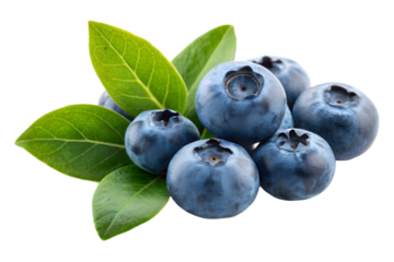 Fresh blueberries with green leaves