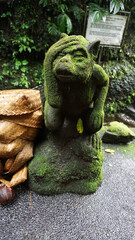 Balinese Sebatu holy water spring at Ubud, Bali, Indonesia