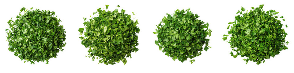 Closeup view of a flourishing vibrant and lush green foliage  Healthy and verdant plants leaves and vegetation in a natural outdoor environment