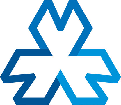 MMM polygon design.eps