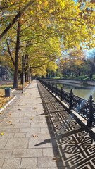 Autumn Pathway Along Canal with Golden Trees and Weeping Willow