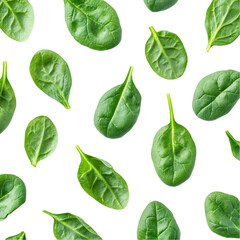 Bunch of fresh spinach leaves isolated white and transparent background. PNG cutout.