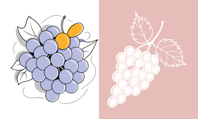 Hand drawn grape vine outline illustration
