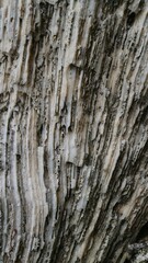 Stunning Natural Pattern of Fossilized Dead Coral Reefs Texture Close-Up