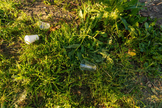 litter in nature 