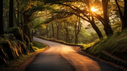 Fototapeta premium sunforest mountain road sunset