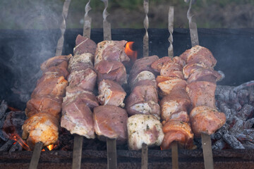 Juicy skewers of marinated meat roasting over hot charcoal on a barbecue grill. 