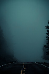 Fog rolling over a mountain road