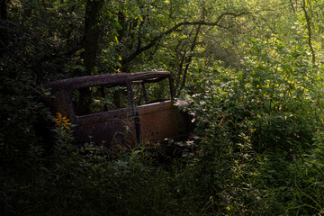 Abandoned car left in woods